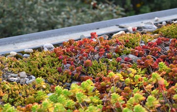 the cost of Adversane green roof installation