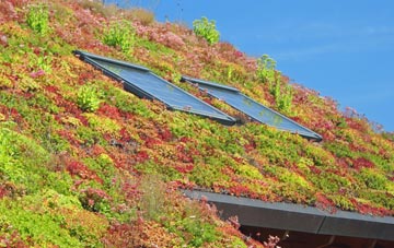 Adversane living roof systems